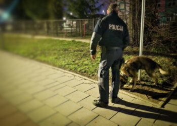 Sokólscy policjanci zatrzymali 31-latka podejrzanego o kradzież z włamaniem i zniszczenie cudzej rzeczy.