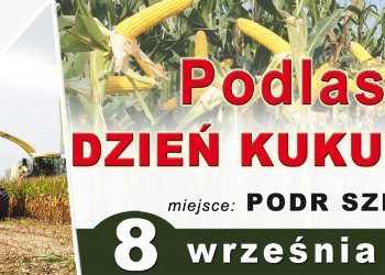 Podlaski Dzień Kukurydzy w Szepietowie