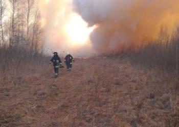 Trwa dramatyczna walka z ogniem w Biebrzańskim Parku Narodowym