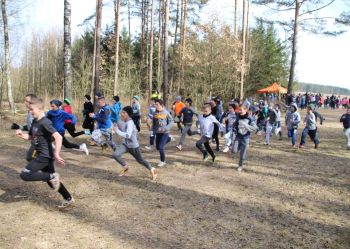 Mistrzostwa Powiatu Sokólskiego w Indywidualnych Biegach Przełajowych Szkół Podstawowych i Gimnazjów