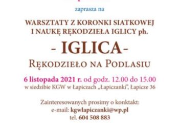 Zaproszenie na warsztaty rękodzieła z iglicą