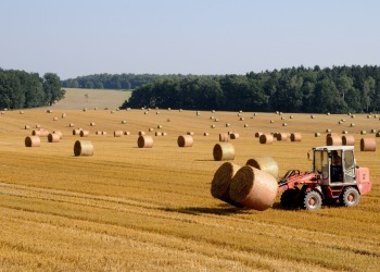 ROLNICTWO I AGROBIZNES - 3,5-letnie studia inżynierskie w WSE w Białymstoku