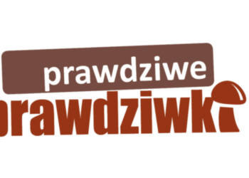 Wskazówka w stopie