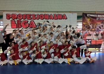 Profesjonalna Liga Taekwon-do