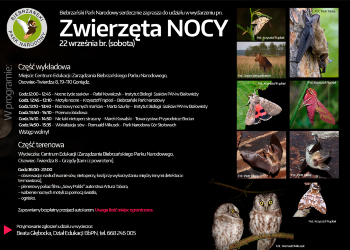 „Zwierzęta nocy”